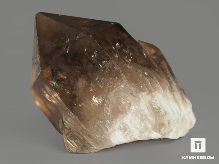 Цитрин, кристалл «Кундалини» 3,7х2,6х2 см, 11562, фото 2