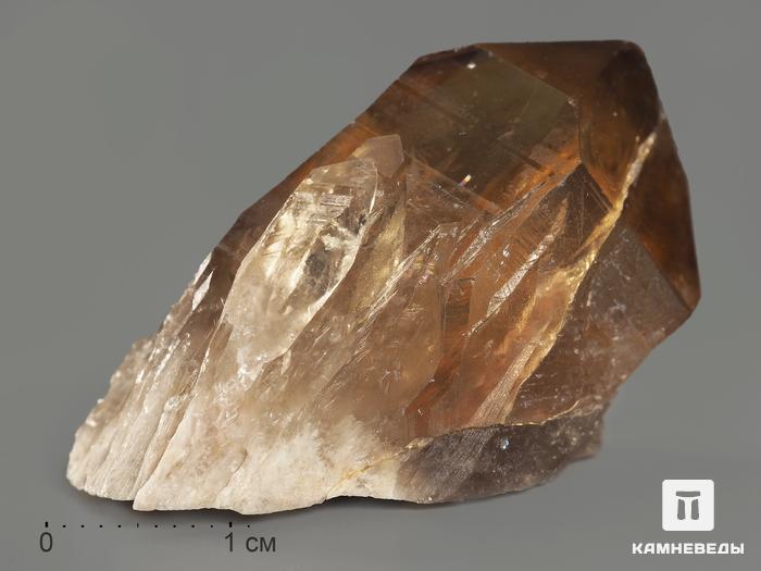 Цитрин, кристалл 3,5-4,5 см, 11563, фото 1