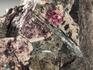 Ловозерит с расцветаеваитом, 9,6х4,5х2,6 см, 11821, фото 2