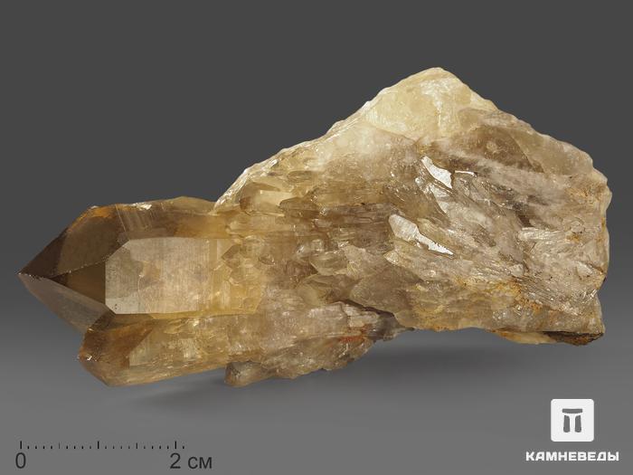Цитрин, кристалл «Кундалини» 7,5х3,8х2,5 см, 11577, фото 1