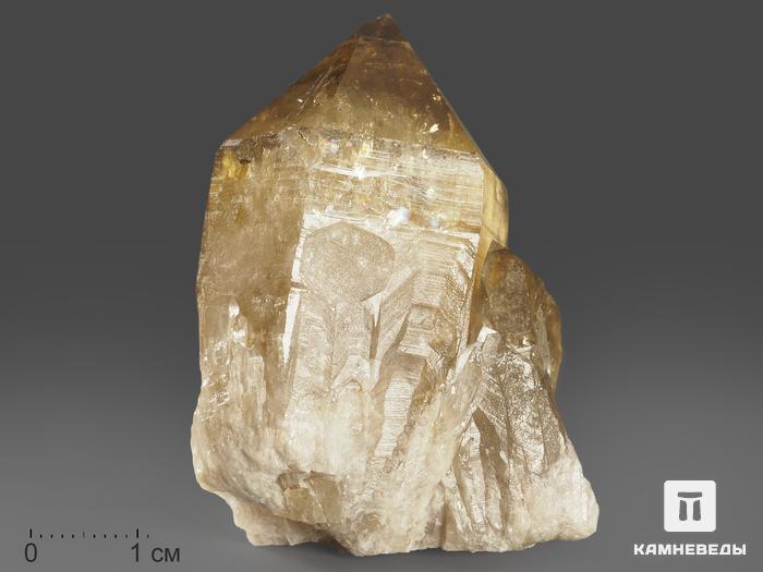 Цитрин, кристалл 5,9х4х3 см, 11576, фото 1