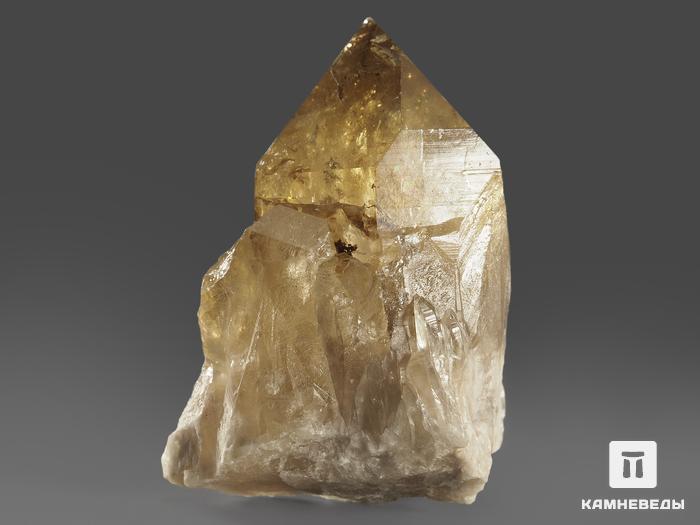 Цитрин, кристалл 5,9х4х3 см, 11576, фото 2