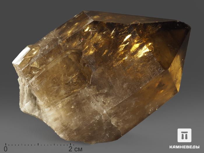 Цитрин, кристалл 5,9х4х3 см, 11576, фото 3