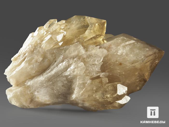 Цитрин, кристалл «Кундалини» 9х5,3х4 см, 11582, фото 2