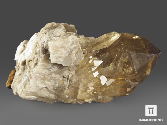 Цитрин, кристалл «Кундалини» 9,1х5,6х4,1 см, 11583, фото 2