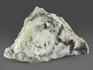 Опал дендритовый, 7-8 см (70-80 г), 11754, фото 2