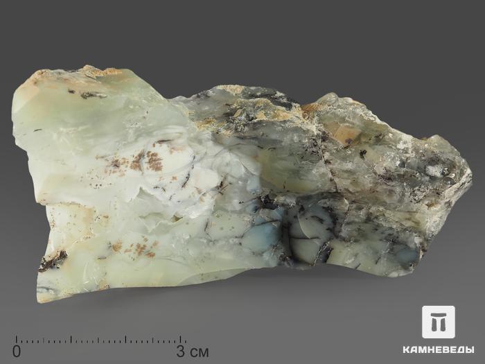 Опал дендритовый, 7-8 см (70-80 г), 11754, фото 3