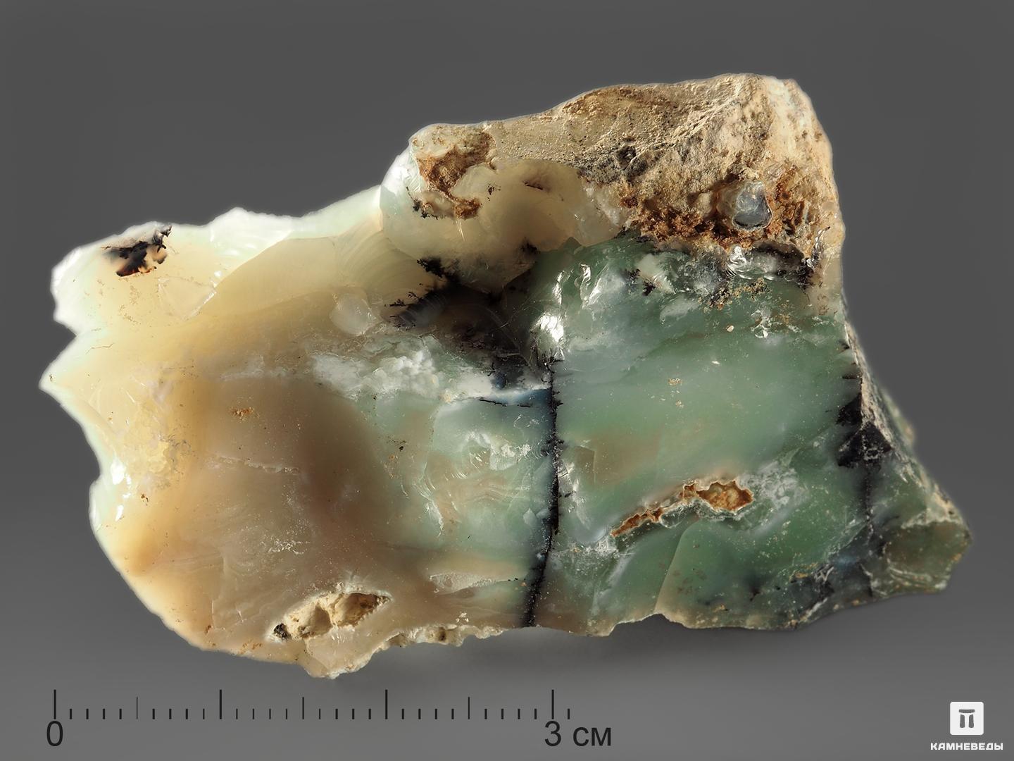 Опал дендритовый, 4,5-6,5 см (30-40 г), 11756, фото 1