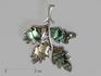 Брошь-кулон «Листья» с гелиотисом (перламутром), 11919, фото 1