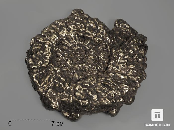 Аммонит пиритизированный на подставке, 26х25,5х4,5 см, 12006, фото 2