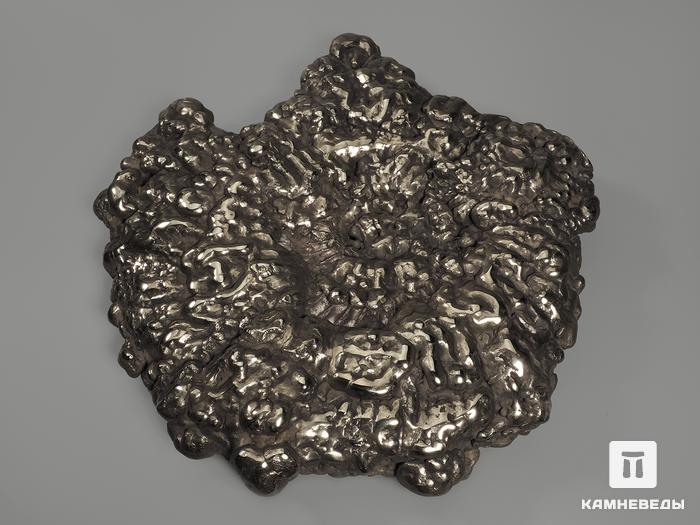 Аммонит пиритизированный на подставке, 26х25,5х4,5 см, 12006, фото 3