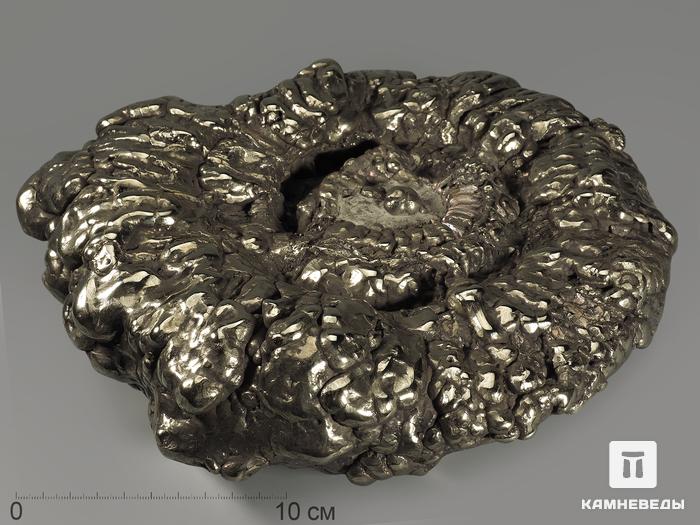 Аммонит пиритизированный на подставке, 28х21х6,5 см, 4587, фото 2