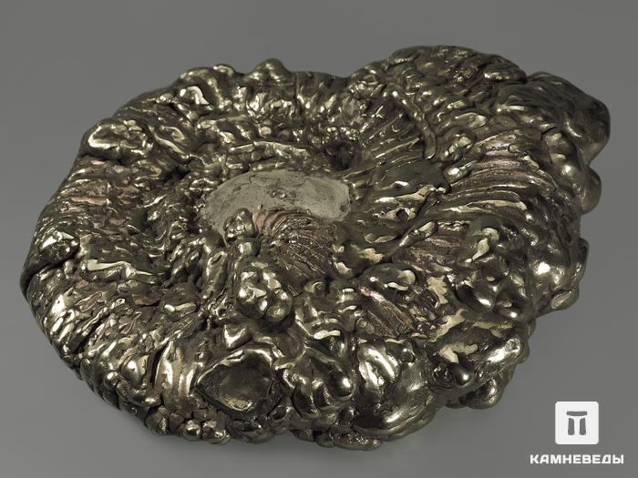 Аммонит пиритизированный на подставке, 28х21х6,5 см, 4587, фото 3