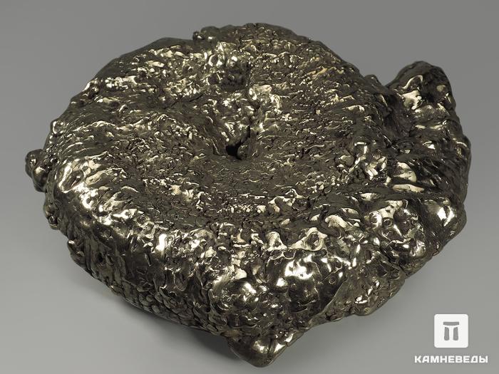 Аммонит пиритизированный на подставке, 28х23х7,5 см, 12005, фото 3
