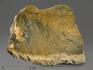 Строматолиты Gaya irkuskanica из Бакала, 18,8х13,4х4,5 см, 12117, фото 1
