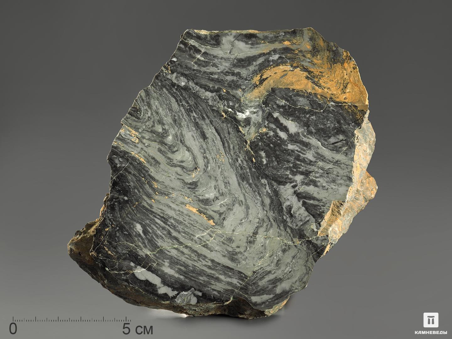 Строматолиты Gaya irkuskanica из Бакала, 15,1х10,6х3,9 см