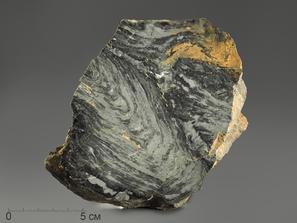 Строматолиты Gaya irkuskanica из Бакала, 15,1х10,6х3,9 см