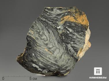 Строматолит. Строматолиты Gaya irkuskanica из Бакала, 15,1х10,6х3,9 см