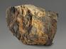 Строматолиты Gaya irkuskanica из Бакала, 16,4х11,5х5,4 см, 12115, фото 3