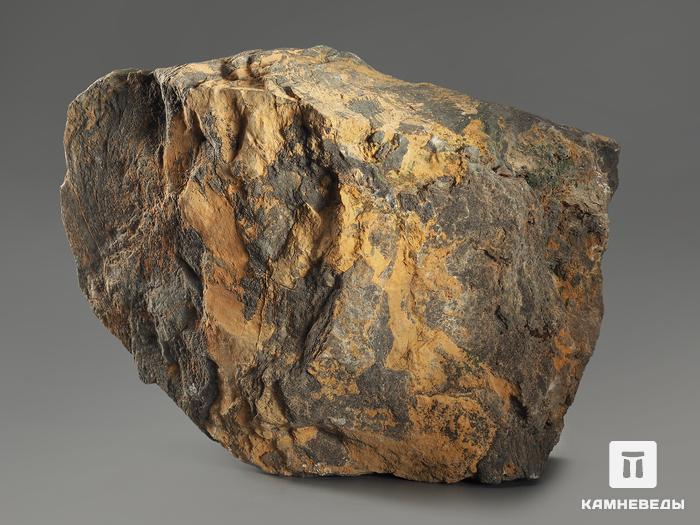 Строматолиты Gaya irkuskanica из Бакала, 16,4х11,5х5,4 см, 12115, фото 3