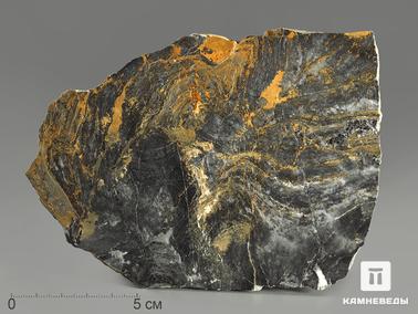 Строматолит. Строматолиты Gaya irkuskanica из Бакала, 16,4х11,5х5,4 см