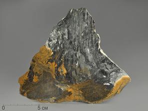 Строматолиты Gaya irkuskanica из Бакала, 13,8х13,3х2 см