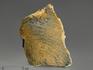 Строматолиты Gaya irkuskanica из Бакала, 16,5х11,3х5,3 см, 12114, фото 1