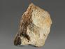Строматолиты Gaya irkuskanica из Бакала, 16,5х11,3х5,3 см, 12114, фото 2