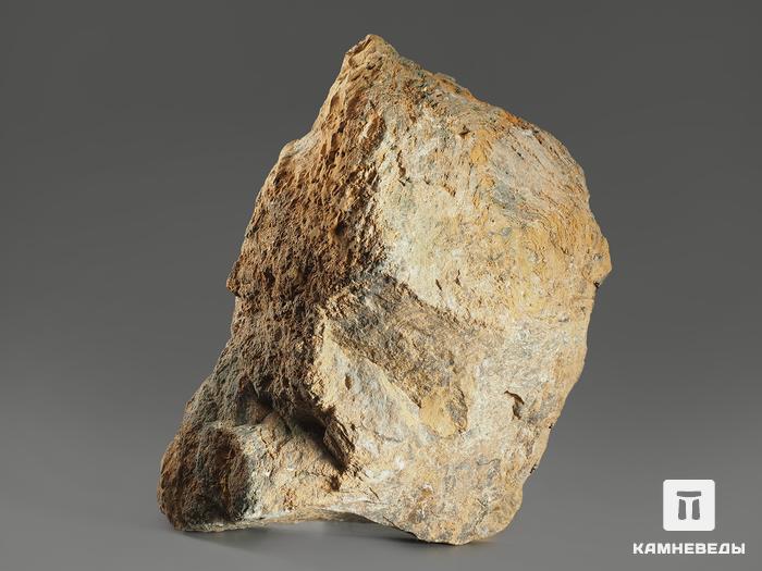 Строматолиты Gaya irkuskanica из Бакала, 16,5х11,3х5,3 см, 12114, фото 2