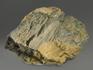 Строматолиты Gaya irkuskanica из Бакала, 15,1х10,6х3,9 см, 12111, фото 2