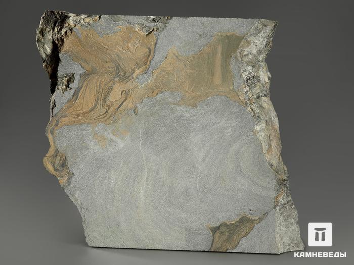 Строматолиты Collenia frequens из Бакала, 13,7х12,9х1,9 см, 12130, фото 2