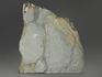 Строматолиты Collenia frequens из Бакала, 14,9х13х2,8 см, 12133, фото 3