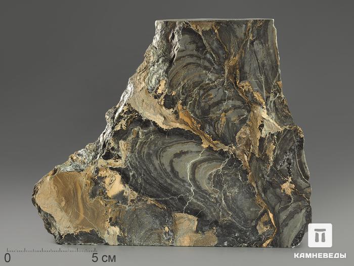 Строматолиты Collenia frequens из Бакала, 14,9х13х2,8 см, 12133, фото 1