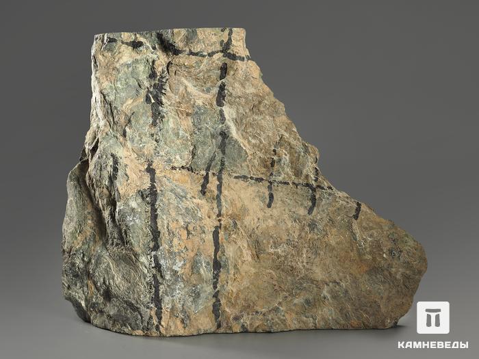 Строматолиты Collenia frequens из Бакала, 14,9х13х2,8 см, 12133, фото 4