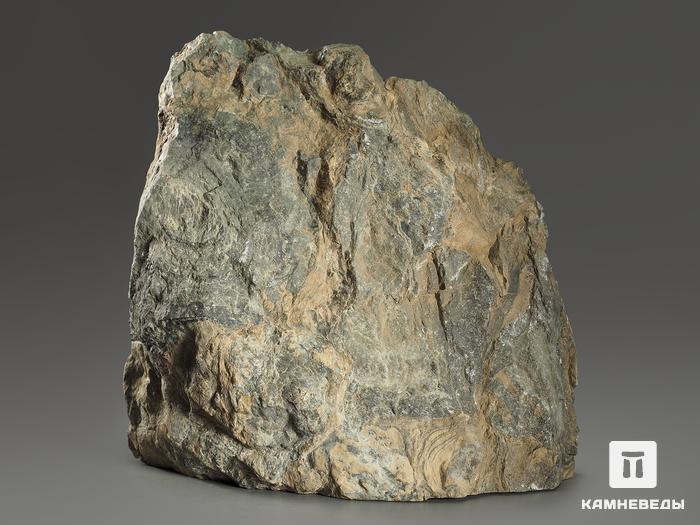 Строматолиты Collenia frequens из Бакала, 13х11,7х4,2 см, 12134, фото 2