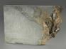 Строматолиты Collenia frequens из Бакала, 18,1х12,5х2,1 см, 12127, фото 2