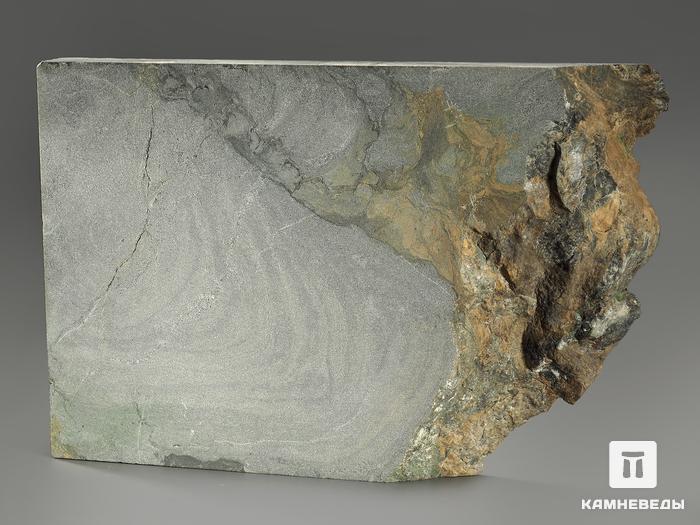 Строматолиты Collenia frequens из Бакала, 18,1х12,5х2,1 см, 12127, фото 2