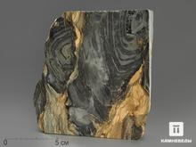 Строматолиты Collenia frequens из Бакала, 12,2х11,5х5,8 см