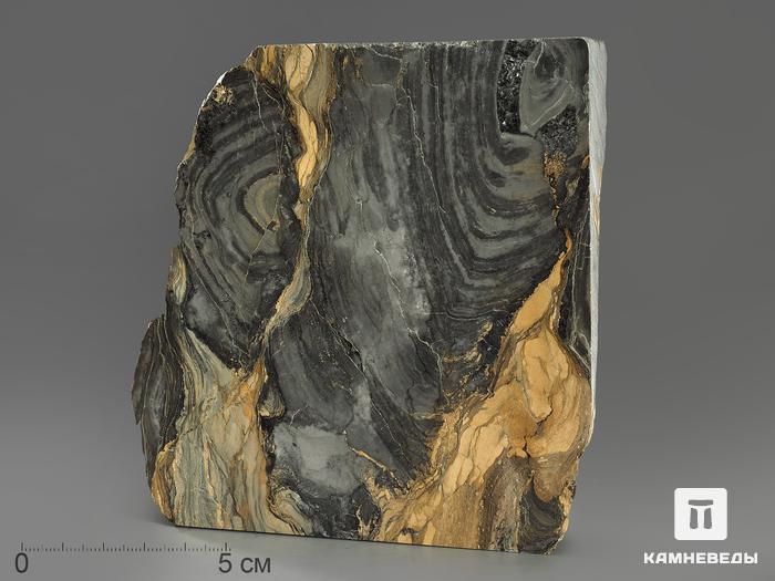 Строматолиты Collenia frequens из Бакала, 12,2х11,5х5,8 см, 12129, фото 1