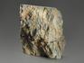 Строматолиты Collenia frequens из Бакала, 12,2х11,5х5,8 см, 12129, фото 2
