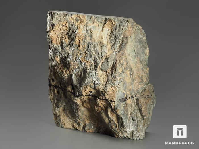 Строматолиты Collenia frequens из Бакала, 12,2х11,5х5,8 см, 12129, фото 2