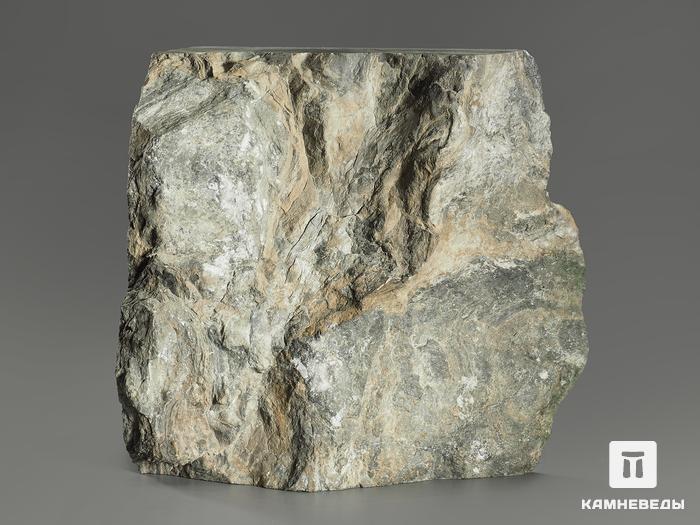 Строматолиты Collenia frequens из Бакала, 12,3х12х6,5 см, 12128, фото 2