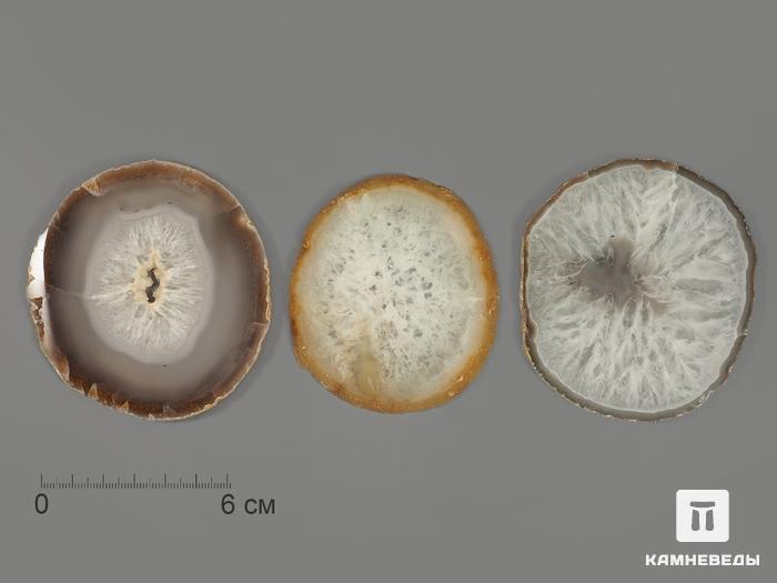 Агат, полированный срез 7,5-9,5 см (60-70 г), 11-43/56, фото 1