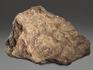 Строматолиты Inzeria tjomusi с реки Лемеза, 16,3х12,4х3 см, 12103, фото 2