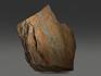 Строматолиты Conophyton cylindricum из Бакала, 17,9х13,4х2,6 см, 12099, фото 2