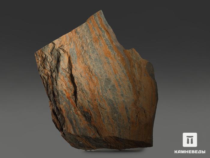 Строматолиты Conophyton cylindricum из Бакала, 17,9х13,4х2,6 см, 12099, фото 2