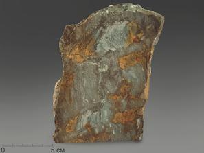 Строматолиты Catavia caratavica из Миньяра, 14,3х9,4х2,3 см