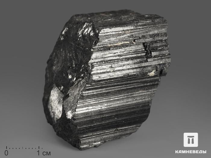 Шерл (турмалин), кристалл 4-7 см (140-160 г), 12055, фото 1