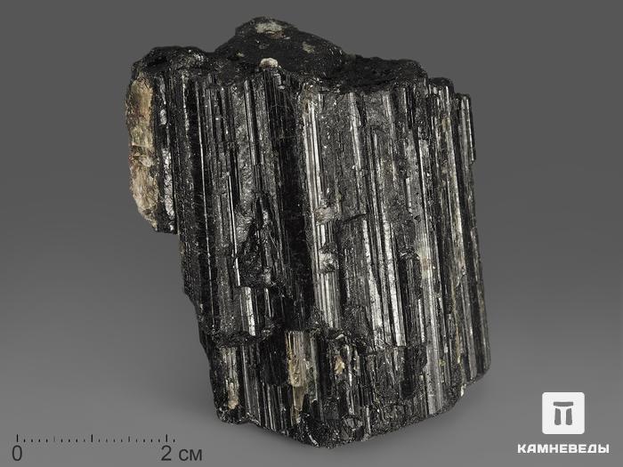 Шерл (турмалин), кристалл 3,5-6 см (170-180 г), 12056, фото 2