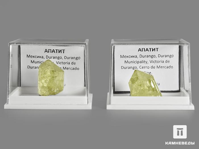 Апатит, кристалл в пластиковом боксе 1,5-2,5 см, 10608, фото 3
